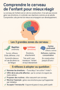 le cerveau de l'enfant